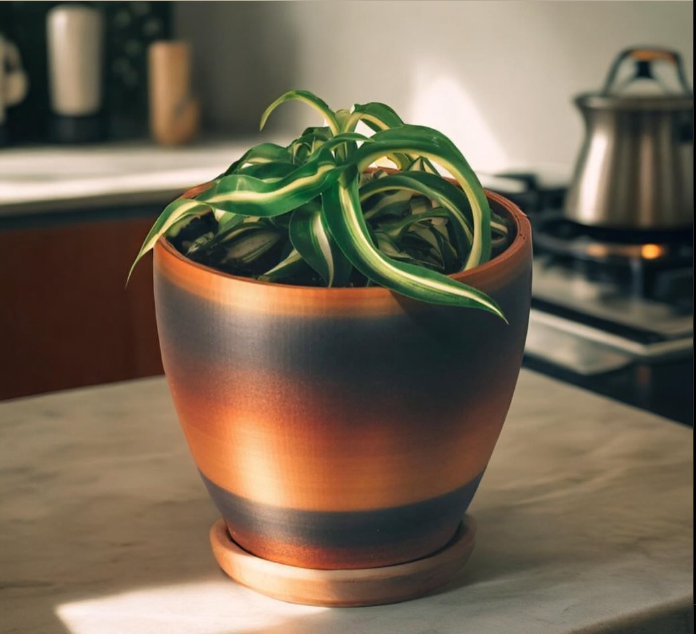 Savage Violet 3D Cup Plant Pot