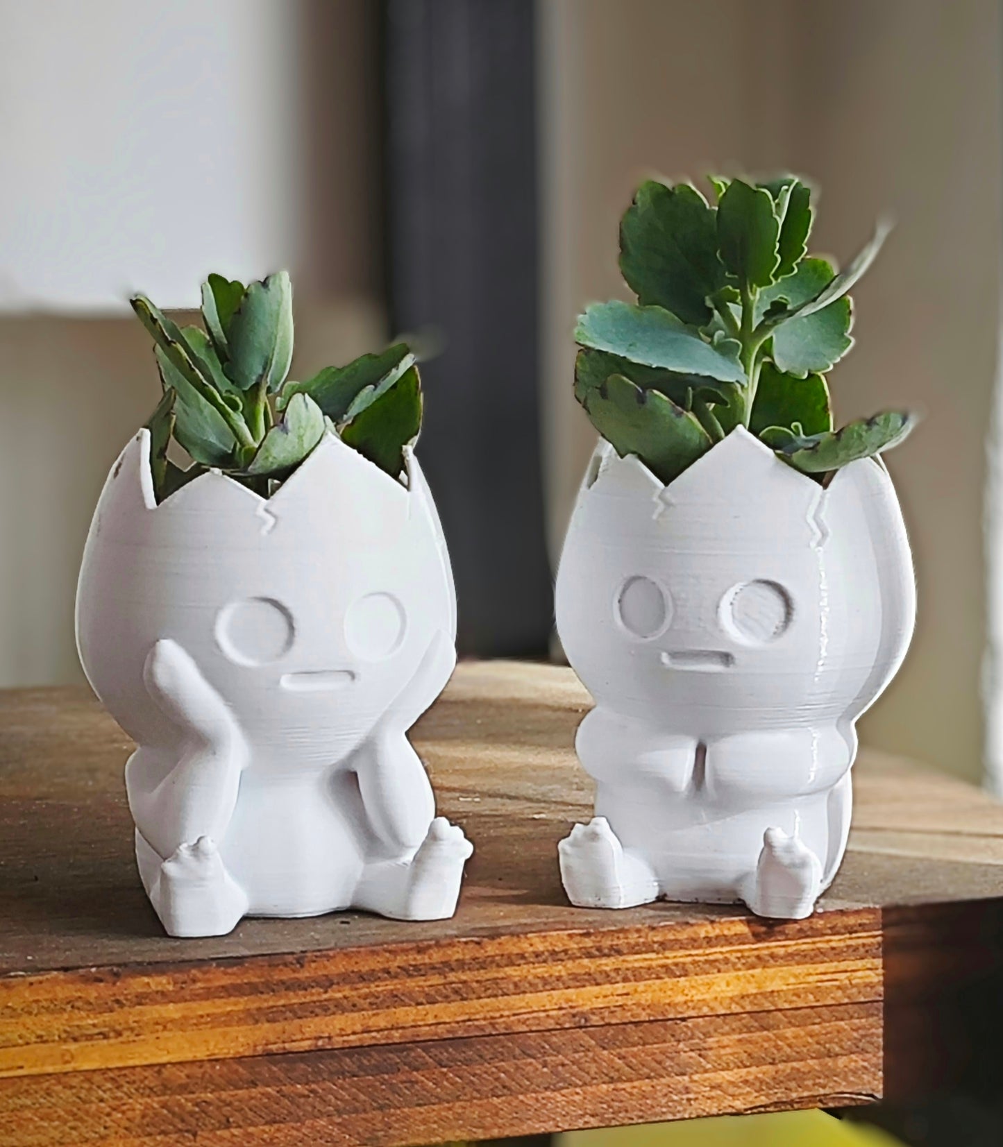 Egg Planter