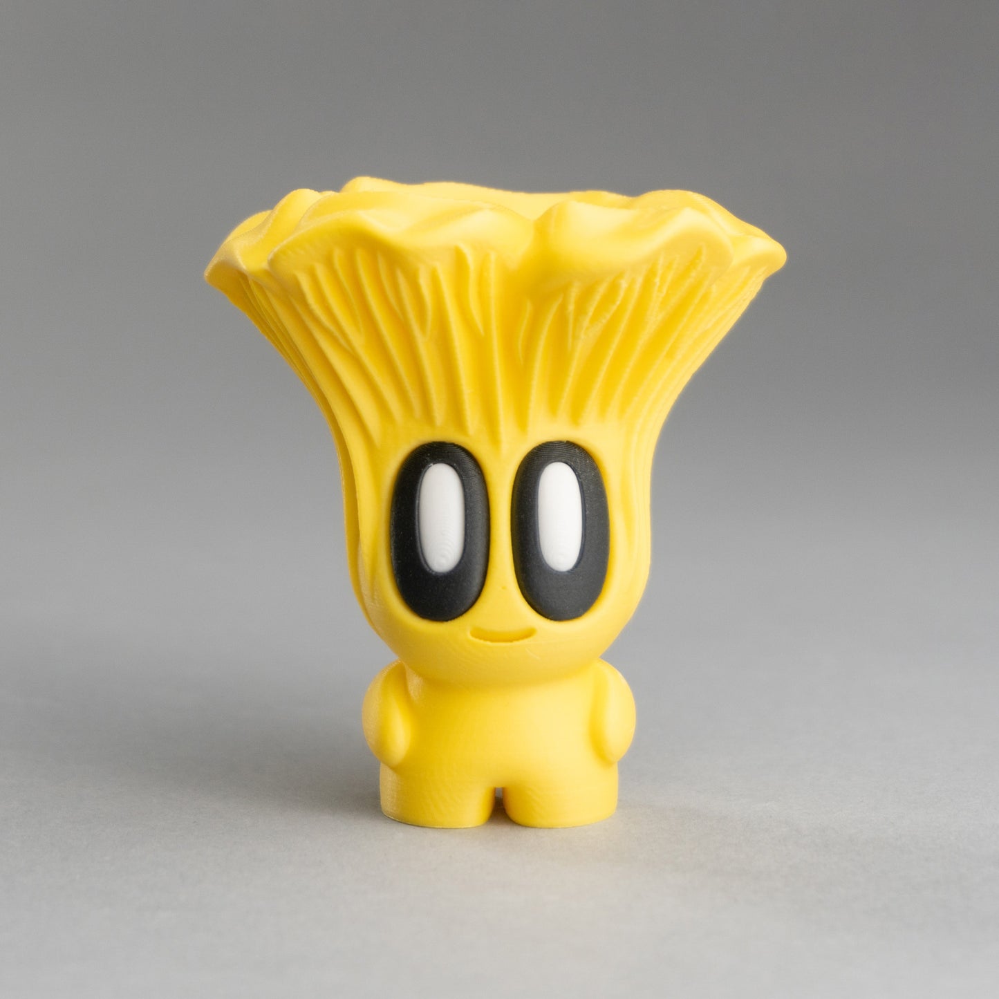 Mushroom Mini's