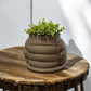 Puffer Jacket 5" Pot