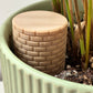 Wellie Plant Watering Well