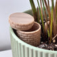 Wellie Plant Watering Well
