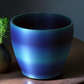 Savage Violet 3D Cup Plant Pot