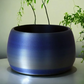 Savage Violet 3D Original Plant Pot