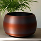 Savage Violet 3D Original Plant Pot