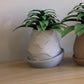 Minimal Planter 3