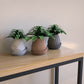 Minimal Planter 2