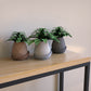 Minimal Planter 1