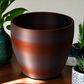 Savage Violet 3D Cup Plant Pot