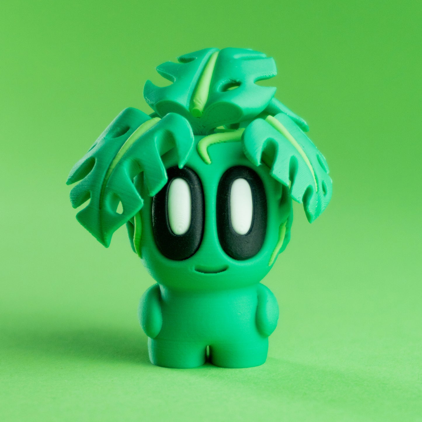 Plant Mini's
