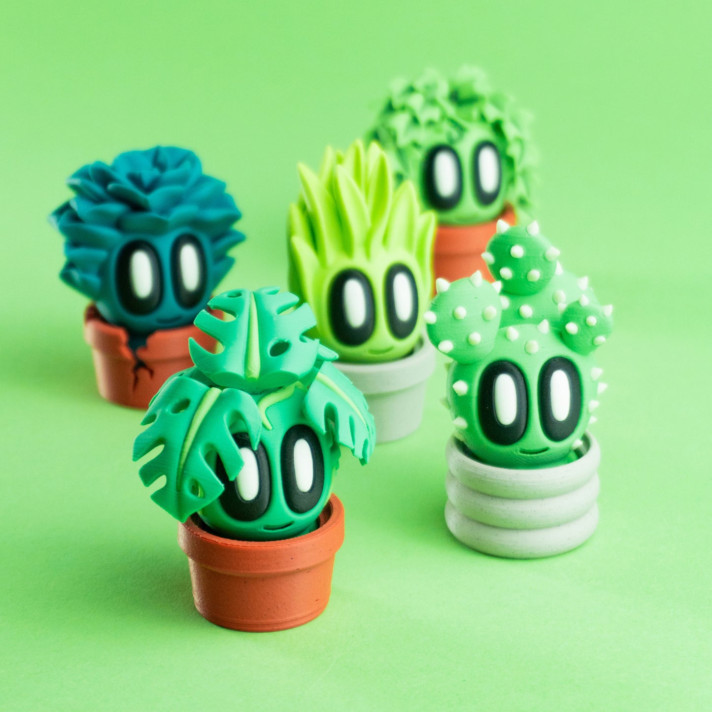 Plant Mini's