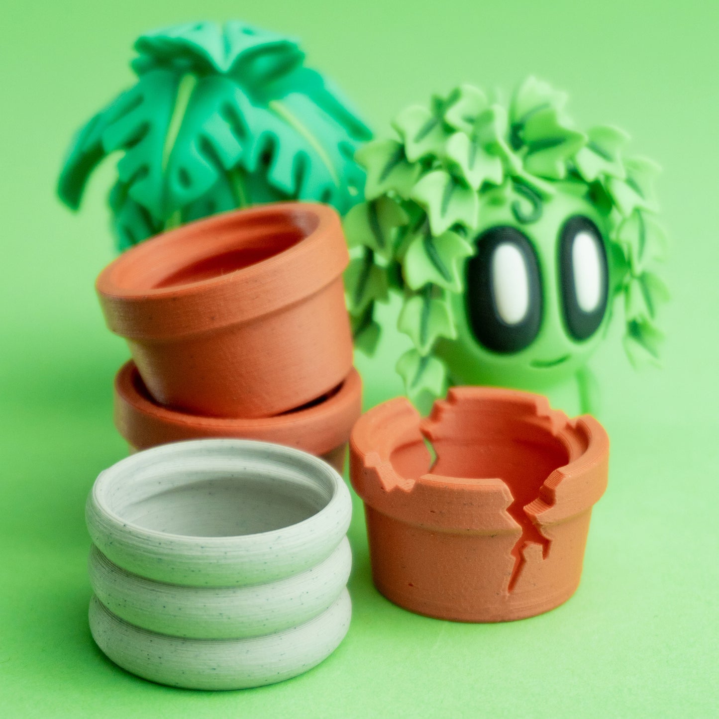 Plant Mini's
