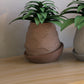 Minimal Planter 2
