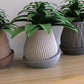 Minimal Planter 1