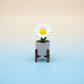 Flower Clicker