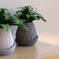 Minimal Planter 3
