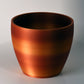 Savage Violet 3D Cup Plant Pot